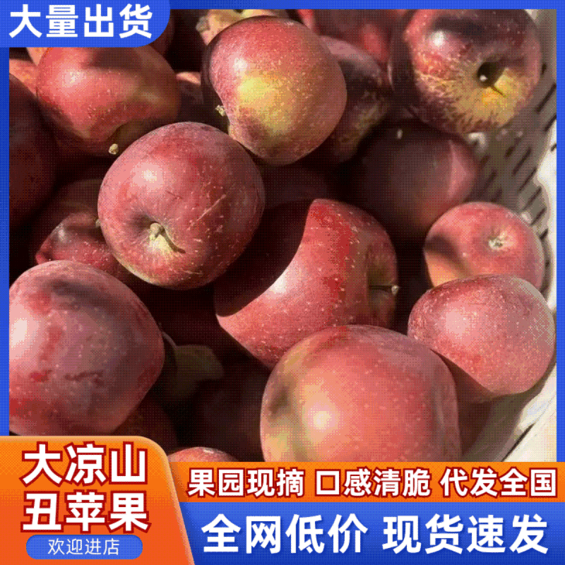 大凉山糖心丑苹果【量大价优】实力供应/品质保证/代发全国