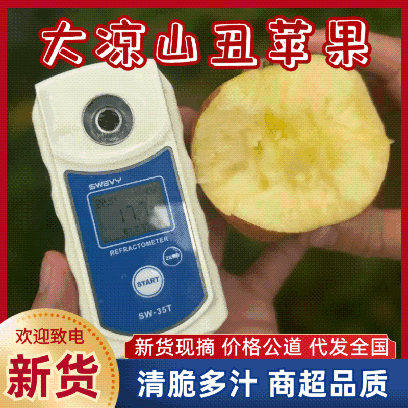 丑苹果【大凉山丑苹果】万亩基地直供/量大从优，欢迎来电