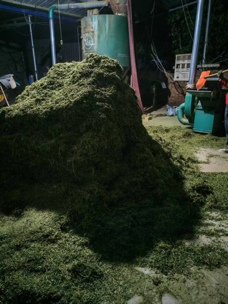 宁夏香豆粉产地直出有需要可直接电话联系加微信聊