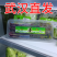 批发新鲜红菜苔正宗湖北产地发货品质**新鲜发货基地直发