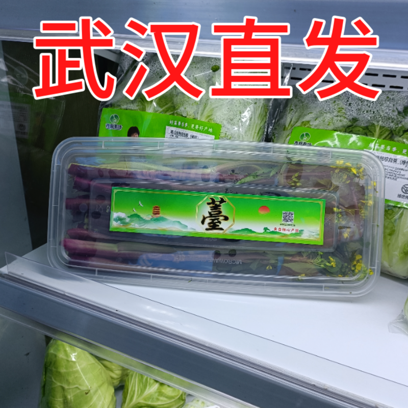 批发新鲜红菜苔正宗湖北产地发货品质**新鲜发货基地直发