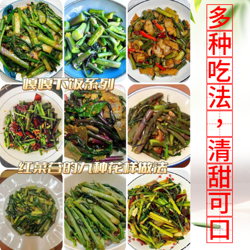 批发新鲜红菜苔正宗湖北产地发货品质**新鲜发货基地直发