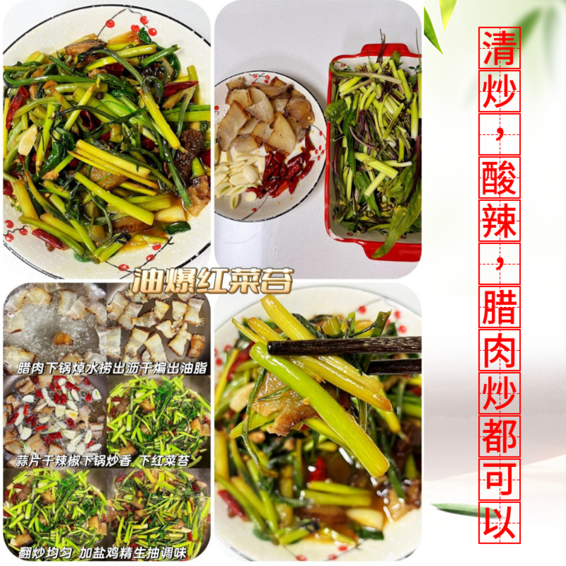 批发新鲜红菜苔正宗湖北产地发货品质**新鲜发货基地直发