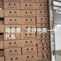 雁鹅蛋/鹅蛋/桶装鹅蛋/支持一件daifa/电商证件齐全