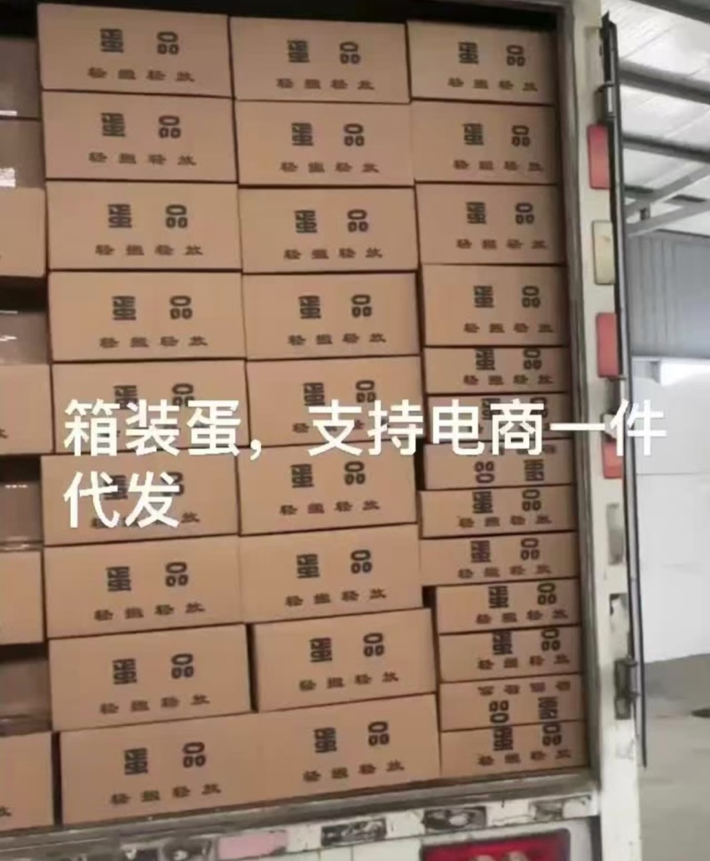 雁鹅蛋/鹅蛋/桶装鹅蛋可代发全国，手续齐全