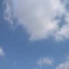 冯宗林的一亩田店铺