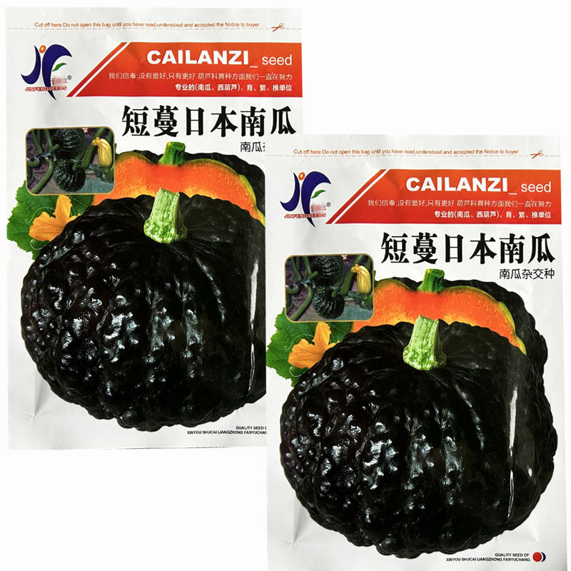 短蔓日本南瓜种子杂交雌花多甜如蜜面粉甜疙瘩型瓜果蔬菜种子