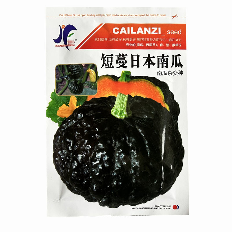 短蔓日本南瓜种子杂交雌花多甜如蜜面粉甜疙瘩型瓜果蔬菜种子