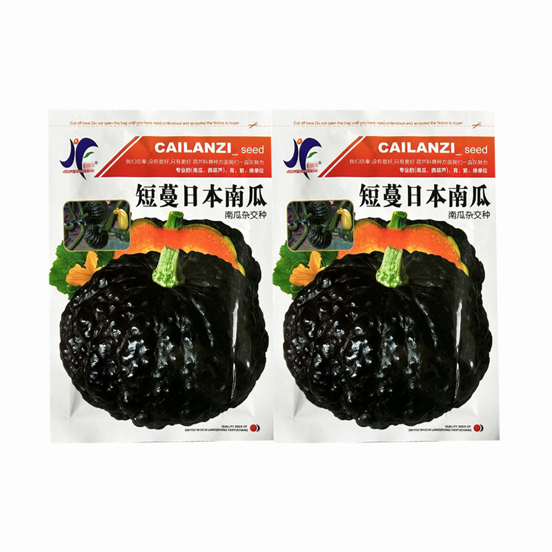 短蔓日本南瓜种子杂交雌花多甜如蜜面粉甜疙瘩型瓜果蔬菜种子