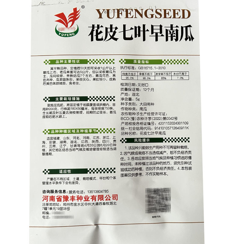 花皮七叶早南瓜种子早熟节瓜多一叶一瓜基地专用