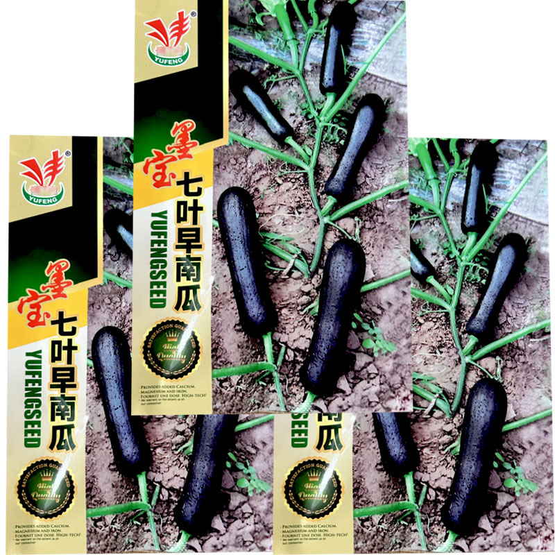 墨宝七叶早南瓜种子早熟黑皮倭瓜一叶一瓜基地品种