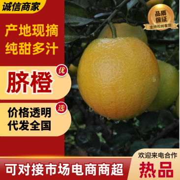 脐橙湖南橙子纯甜多汁对接电商市场一件代发等