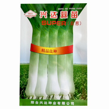 韭葱种子蒜苗种籽海蒜宽叶味辣甜耐寒四季高产