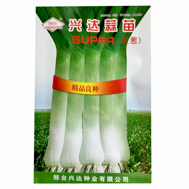 韭葱种子蒜苗种籽海蒜宽叶味辣甜耐寒四季高产