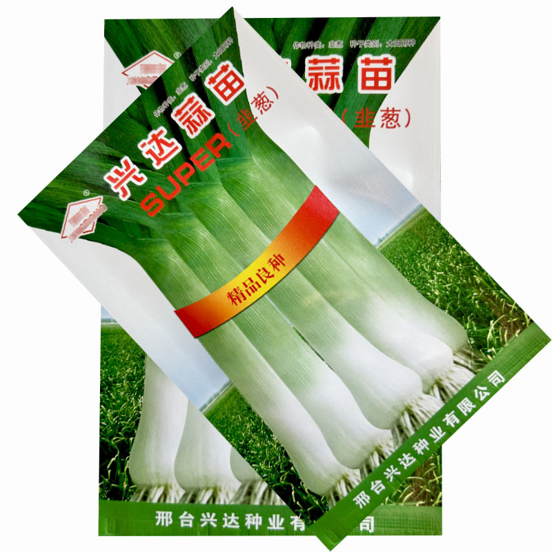 韭葱种子蒜苗种籽海蒜宽叶味辣甜耐寒四季高产