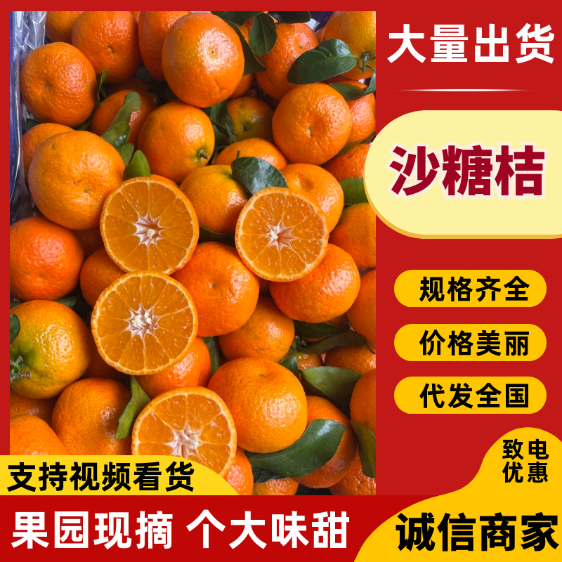 广西砂糖桔大量上市欢迎全国各地来订购谢谢大家的支持...