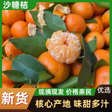 广西沙糖桔金秋砂糖橘海量货源提供一条龙服务全国发货