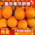 奉节脐橙，重庆基地发货，量大从优，诚信经营，欢迎来电