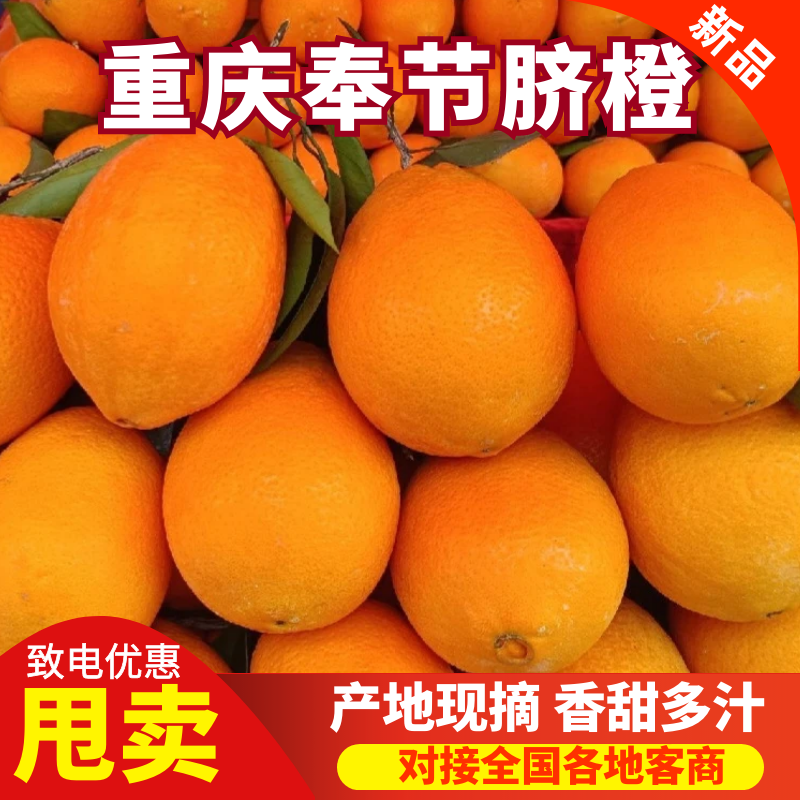 奉节脐橙，重庆基地发货，量大从优，诚信经营，欢迎来电