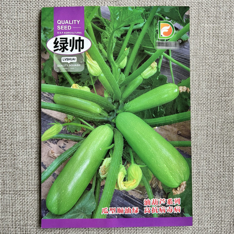 西葫芦种子绿帅早熟西葫芦种籽瓜翠绿春秋种植西葫菜瓜种
