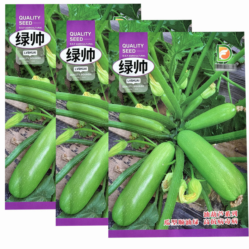 西葫芦种子绿帅早熟西葫芦种籽瓜翠绿春秋种植西葫菜瓜种