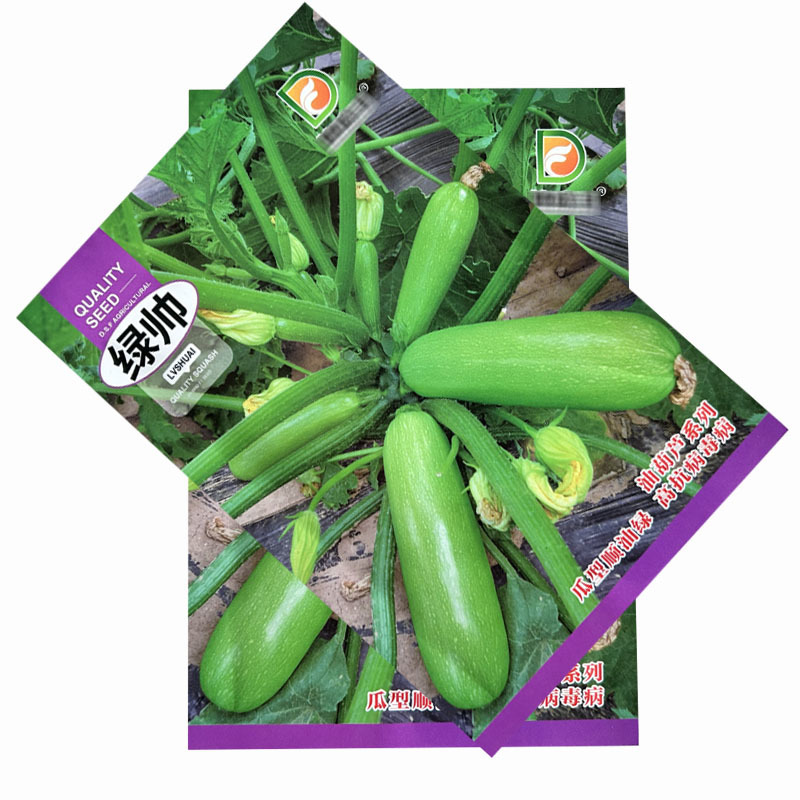 西葫芦种子绿帅早熟西葫芦种籽瓜翠绿春秋种植西葫菜瓜种