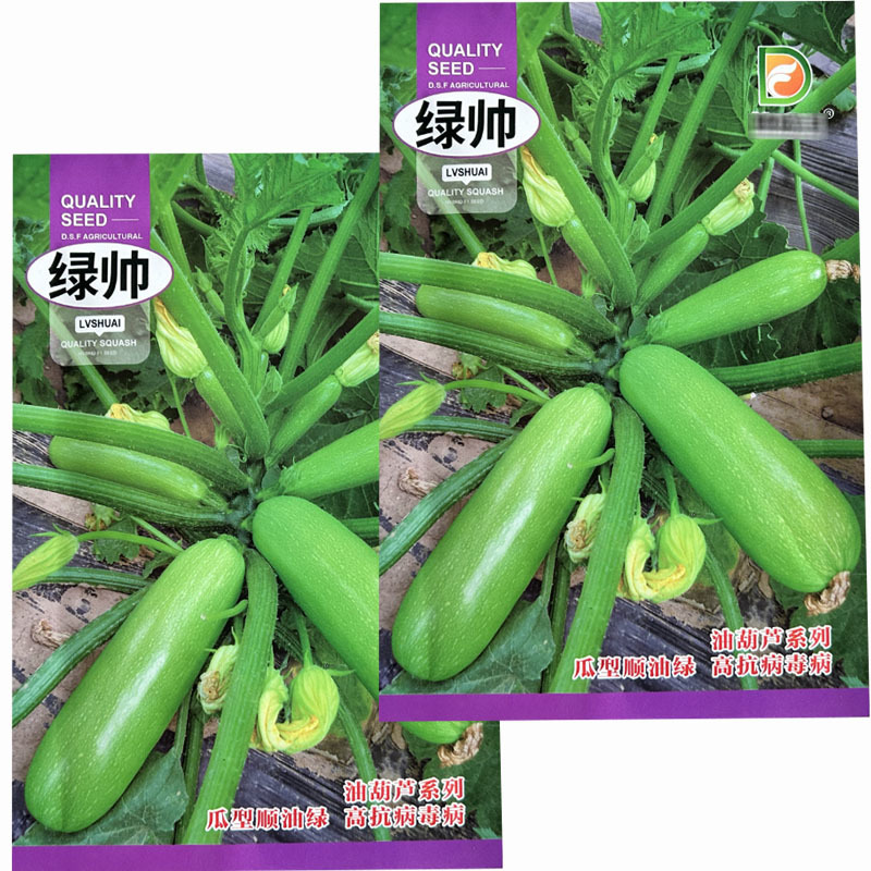 西葫芦种子绿帅早熟西葫芦种籽瓜翠绿春秋种植西葫菜瓜种