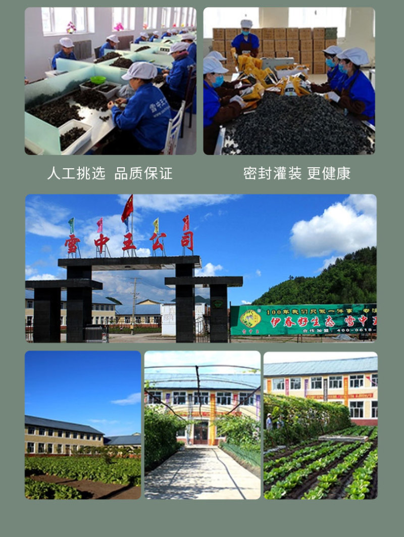 黑木耳，全国发货，价格可谈，质量有保障，欢迎联系