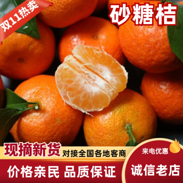 精品砂糖橘，纯甜无渣，果面干净，产地对接市场，可视频看货