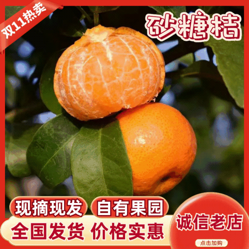 广西砂糖橘，南丰蜜桔，对接外贸出口，可视频看货，品质保证