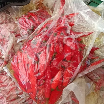 泡椒红泡椒辣椒对接泡菜厂罐头加工厂厂家直发价格实惠电联