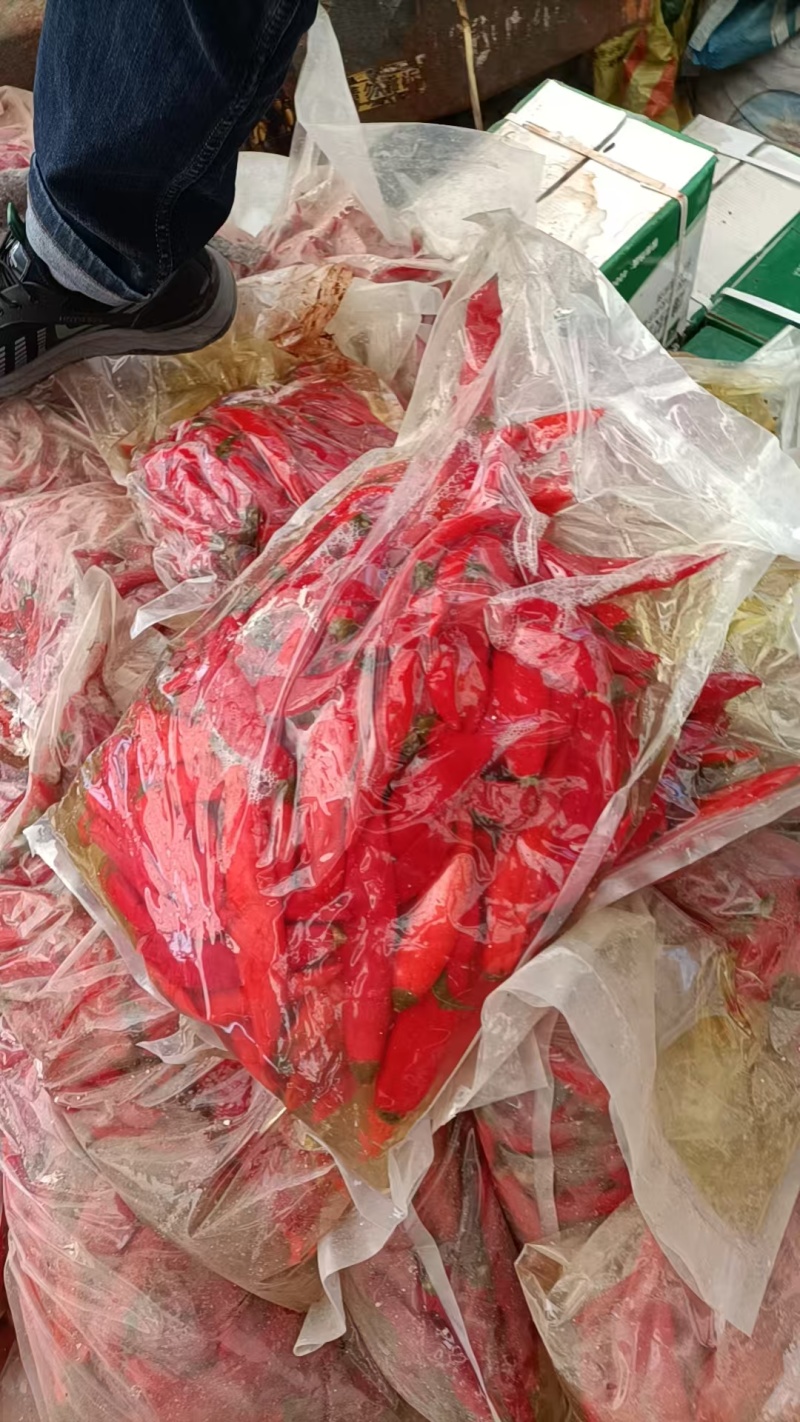 泡椒红泡椒辣椒对接泡菜厂罐头加工厂厂家直发价格实惠电联