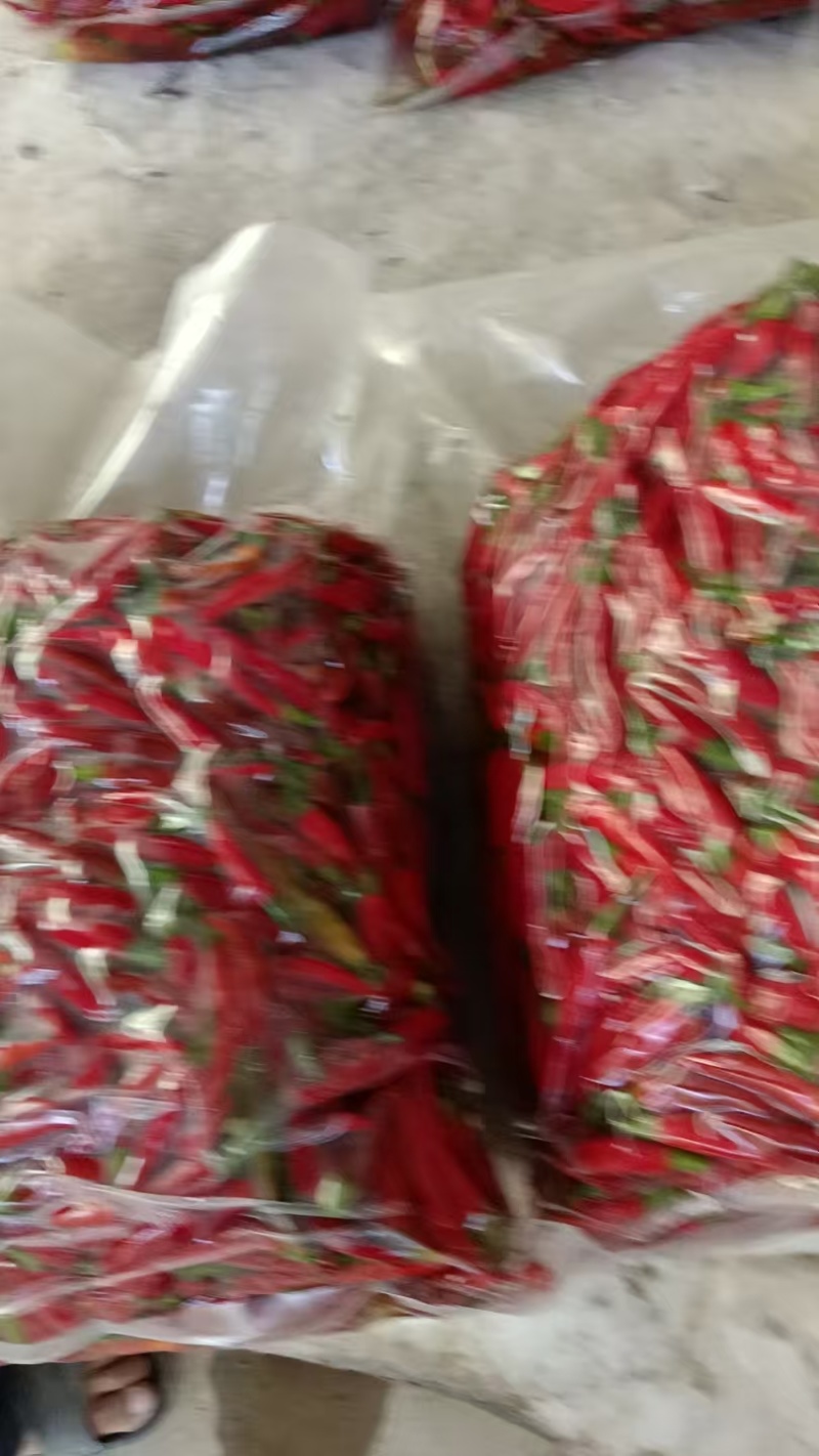 泡椒红泡椒辣椒对接泡菜厂罐头加工厂厂家直发价格实惠电联