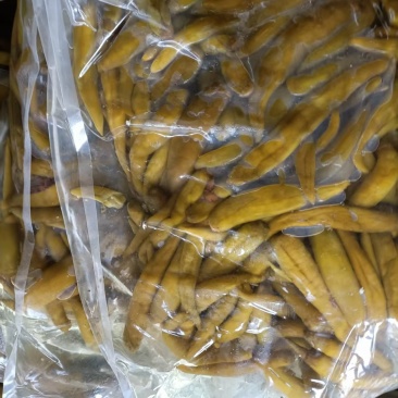 青泡椒辣椒小米椒泡椒厂家直发专业做泡椒长期供货欢迎电联