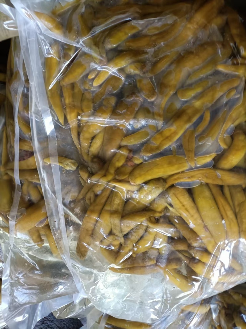 青泡椒辣椒小米椒泡椒厂家直发专业做泡椒长期供货欢迎电联