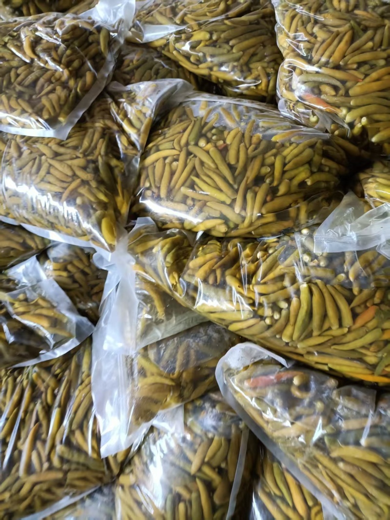 青泡椒辣椒小米椒泡椒厂家直发专业做泡椒长期供货欢迎电联