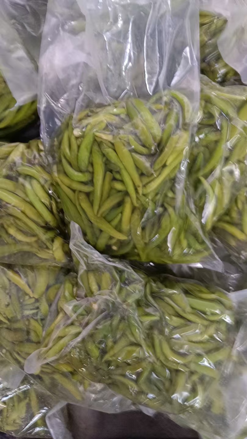 青泡椒辣椒小米椒泡椒厂家直发专业做泡椒长期供货欢迎电联