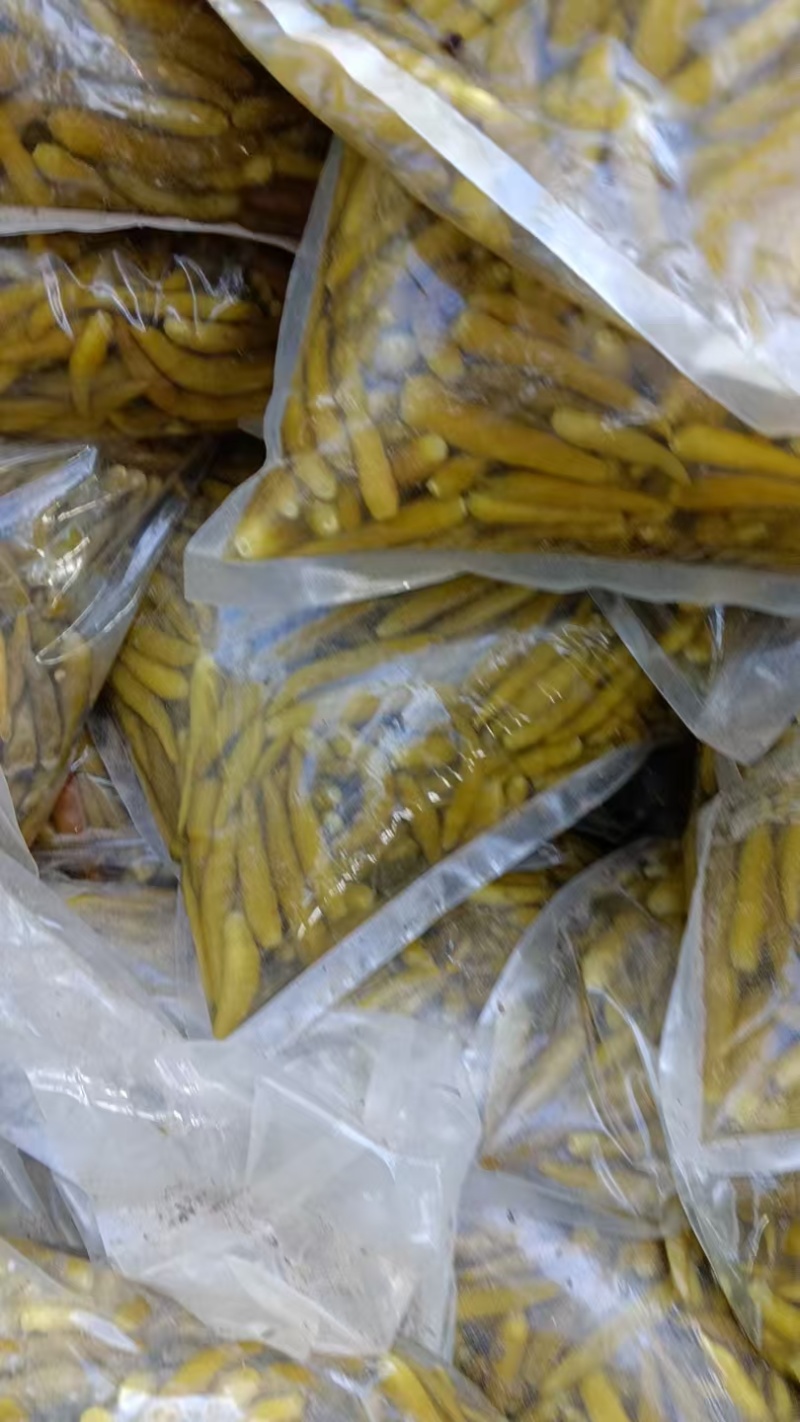 青泡椒辣椒小米椒泡椒厂家直发专业做泡椒长期供货欢迎电联