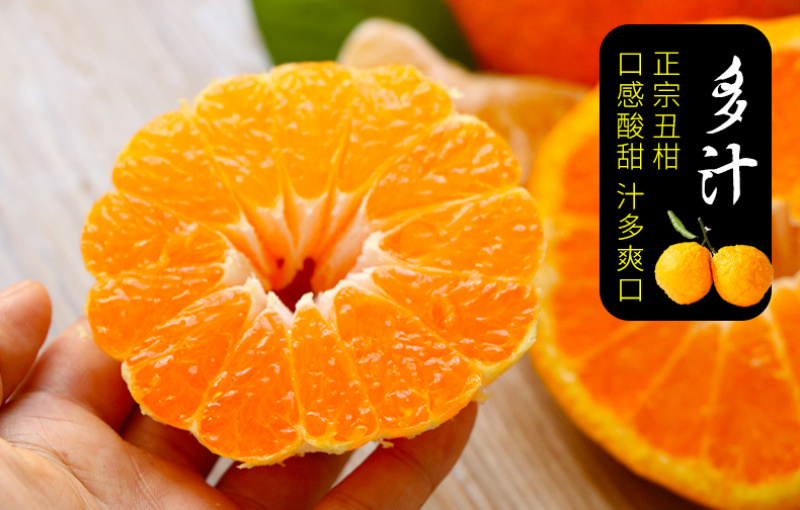 对接电商一件代发四川不知火丑橘柑橘供应各大平台当季时令新