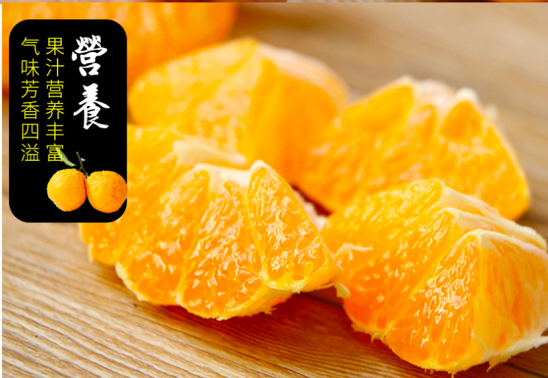 对接电商一件代发四川不知火丑橘柑橘供应各大平台当季时令新