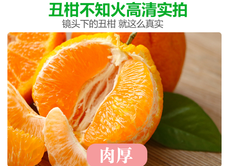 对接电商一件代发四川不知火丑橘柑橘供应各大平台当季时令新