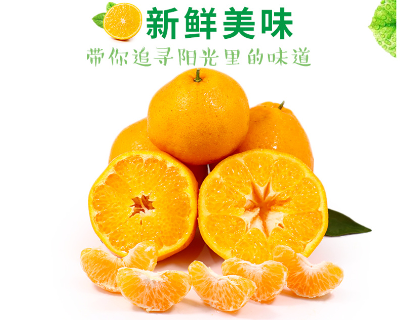 一件代发四川春见耙耙柑当季柑橘对接直播等电商各大平台