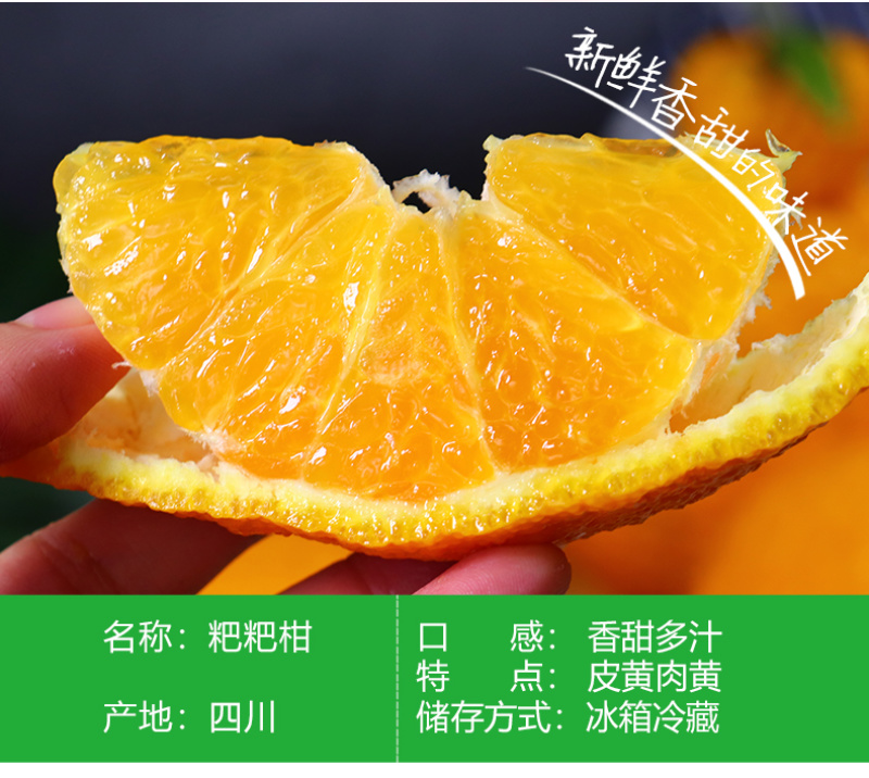 一件代发四川春见耙耙柑当季柑橘对接直播等电商各大平台