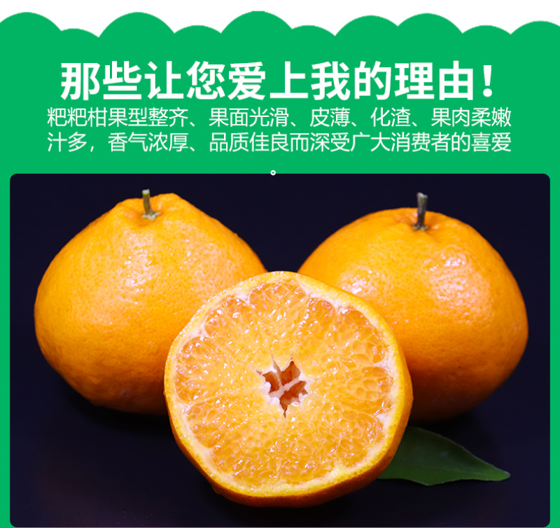 一件代发四川春见耙耙柑当季柑橘对接直播等电商各大平台