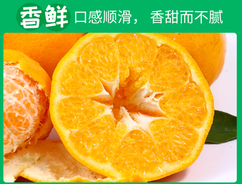 一件代发四川春见耙耙柑当季柑橘对接直播等电商各大平台