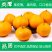 一件代发四川春见耙耙柑当季柑橘对接直播等电商各大平台