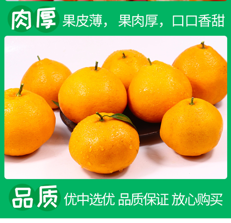 一件代发四川春见耙耙柑当季柑橘对接直播等电商各大平台