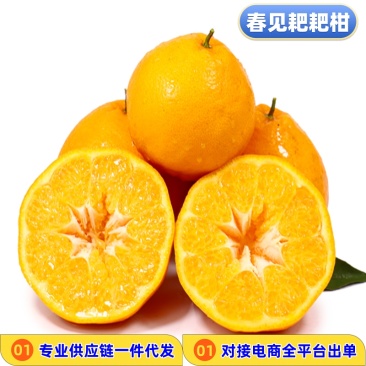 一件代发四川春见耙耙柑粑粑柑当季新鲜现摘水果供电商各大平