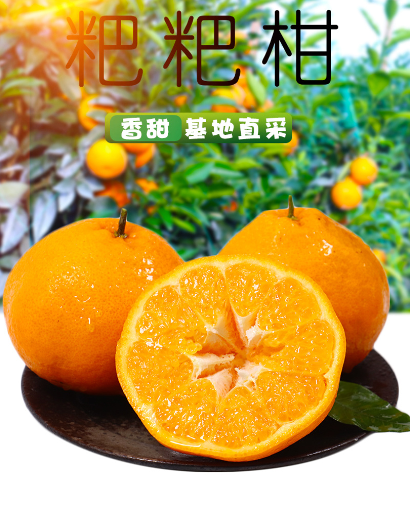 一件代发四川春见耙耙柑粑粑柑当季新鲜现摘水果供电商各大平