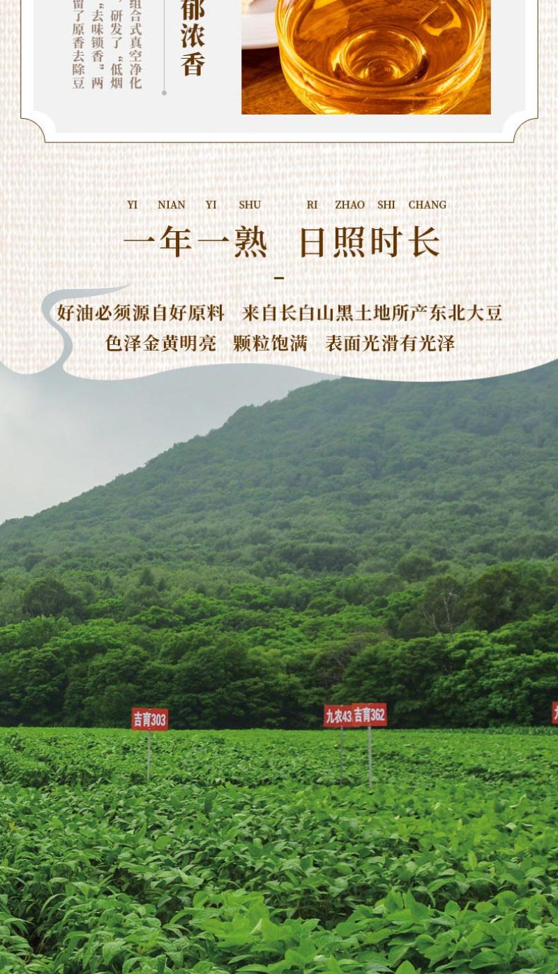一品吉粮古法小榨三级大豆油非转基因